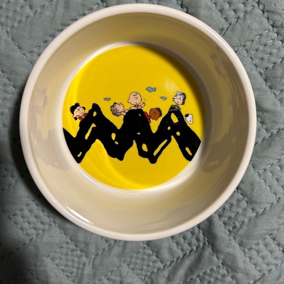 CHARLIE BROWN SNOOPY Peanuts Gang 5” Round Cartoon Print Pet Bowl Dish Dog Cat - Picture 1 of 3